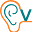 Vagus.net Icon