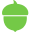 Acorns Icon