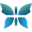 Farmacia Procacc Icon