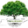 Online Plant Nursery Icon