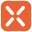 Rexing Icon