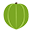 Amla Green Icon