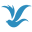Fit Simplify Icon