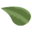 Perfect Earth Foods Icon