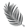 Zeal Naturals Icon