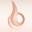 Roma Leaf Icon