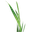 The Organic Whey Icon