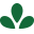Skinny Souping Icon