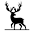 Wildcamera XL Icon