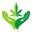 Herb Approach Icon