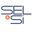 Sel and Si Icon