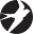 Oiselle Icon