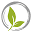 Zen Tea Leaf Icon