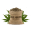 Marijuana Seeds Canada Icon