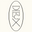 Dieux Skin Icon
