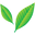 The Sante Company Icon
