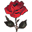 River Rose USA Icon