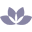 DERMA E Australia Icon