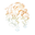 Veracious Curls USA Icon