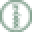 Northern Fir Icon