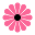 Modern Daisy Icon