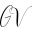GabyVer Icon
