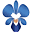 Blue Orchid Icon
