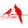 Morning Bird Icon