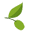 Olive Oil Store Icon