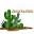 desertoutlets Icon