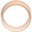 Shared Planet Icon