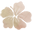 Blooms of Hawaii Icon