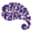 Paisley Park Icon
