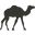 Summer Land Camels Australia Icon