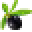 Saratoga Olive Oil Icon