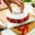 Rapid Slicer Icon