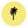 Florida Salt Scrubs Icon