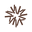 Tumbleweed Boutique Icon