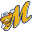 MiLB Store USA Icon