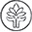 thetherapistessentials Icon