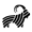 Pashmina Icon