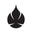 Bija Essence Icon