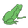The Frilly Frog Icon