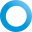 Ring Netherlands Icon
