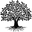 Family Tree Prints Icon