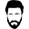 Beard and Company USA Icon