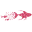 Pinkfishes Icon