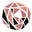 shoprosegold Icon