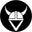 Viking Sports LLC Icon