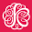 KissMe.USA Icon